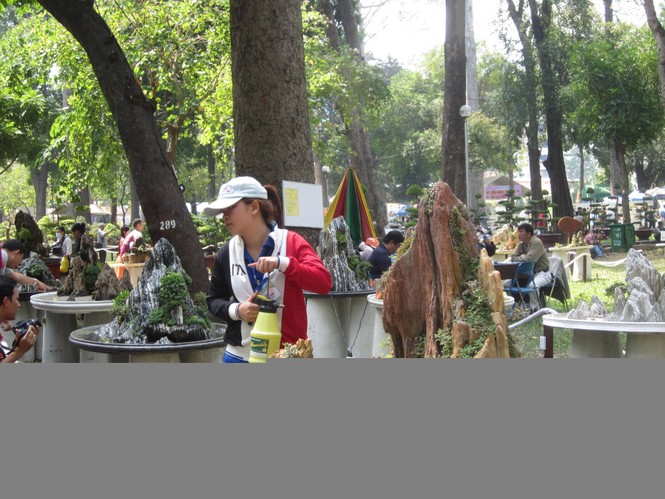 Hoa xuân tràn ngập công viên Tao Đàn - ảnh 6